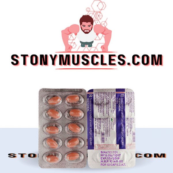 ANDRIOL TESTOCAPS (30 capsules) acquistare online in Italia - stonymuscles.com