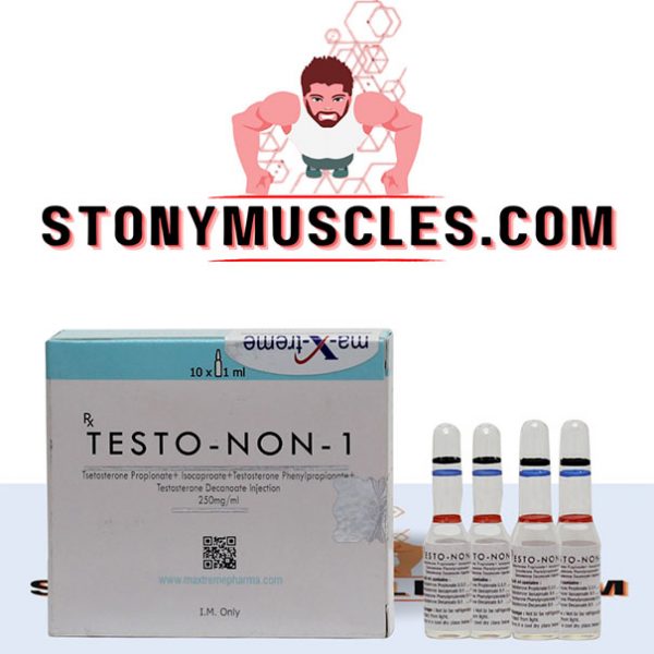TESTO-NON-1 acquistare online in Italia - stonymuscles.com